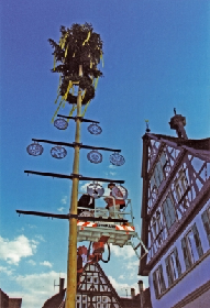 Maibaumaufstellung Renningen Maibaumaufstellung Renningen